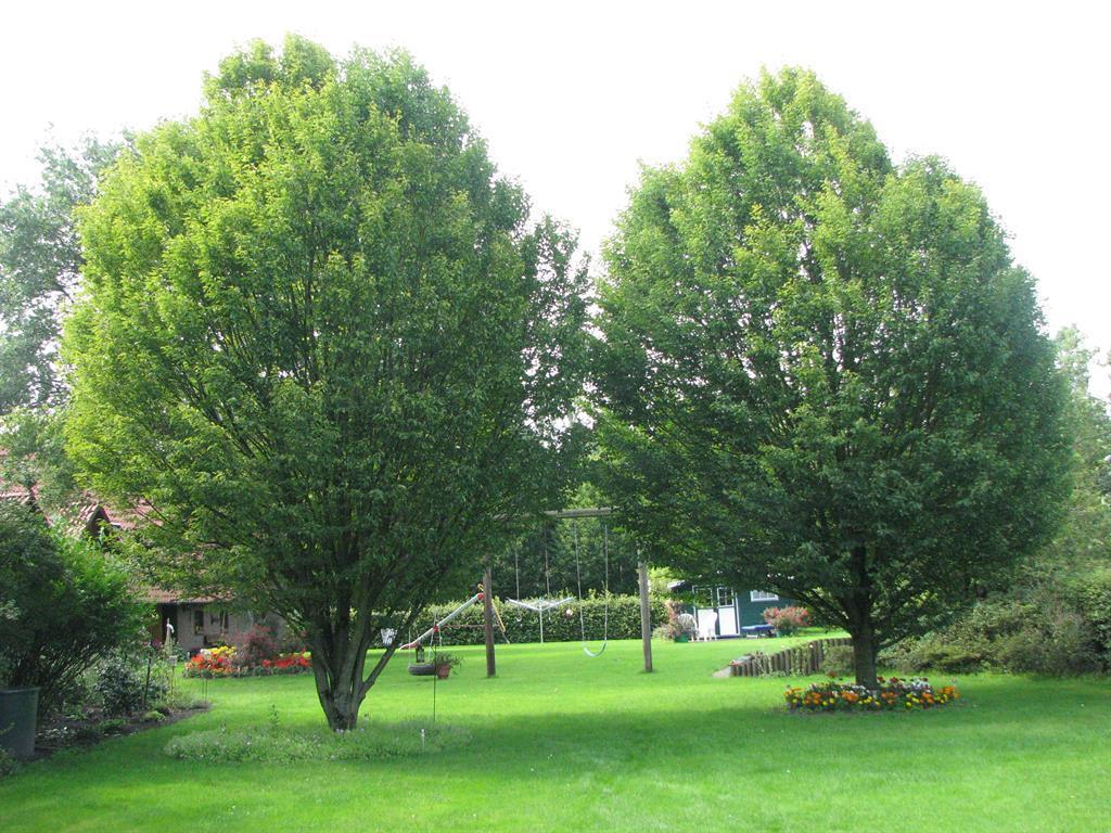 Urlaubsdomizil Im Gruenen Apartment Westerstede Ngoại thất bức ảnh