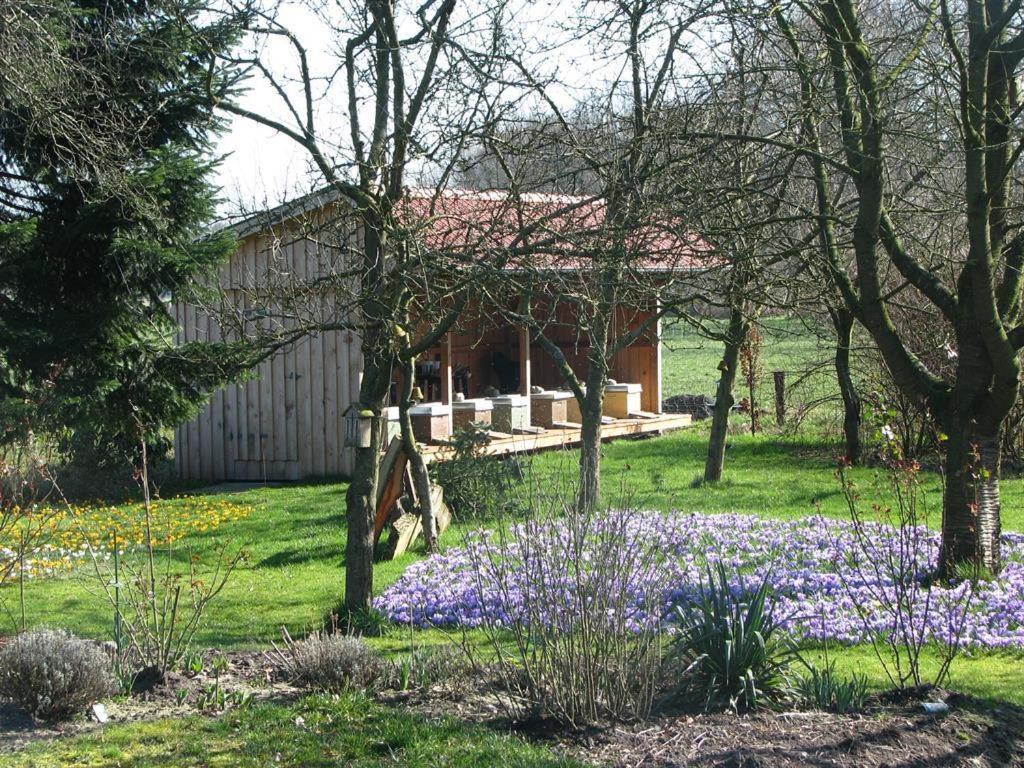 Urlaubsdomizil Im Gruenen Apartment Westerstede Ngoại thất bức ảnh