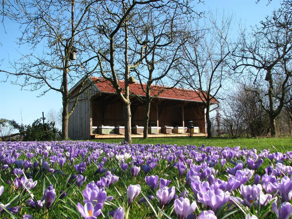 Urlaubsdomizil Im Gruenen Apartment Westerstede Ngoại thất bức ảnh